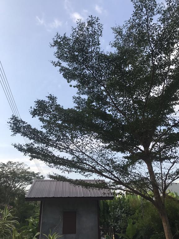 Jim Guesthouse Kanchanaburi City Exteriör bild